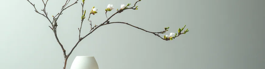 Создание благоприятного Фэн-шуй в доме и на даче