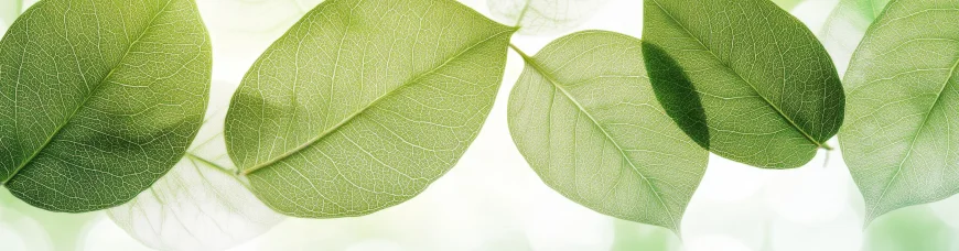 Здоровье и дата рождения