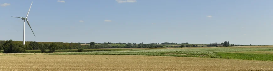 Как познакомиться с новыми людьми? Советы для интровертов.