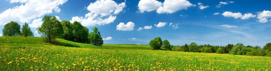 Один в поле не воин