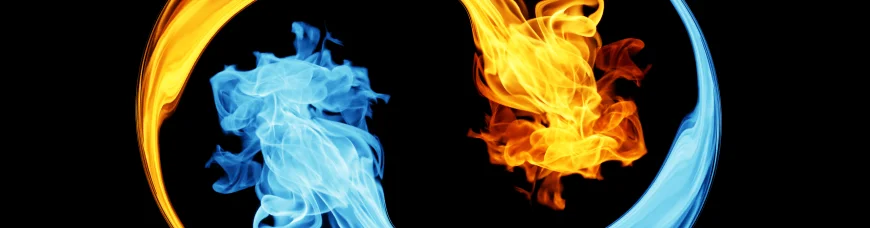 Цели воплощения