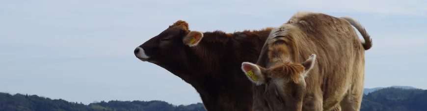 Как уберечь себя от измен? Советы астропсихолога.