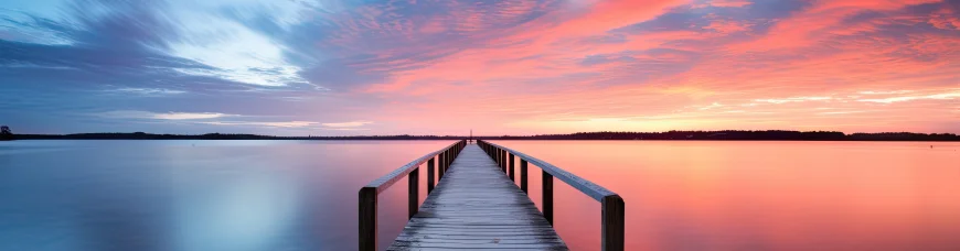 Социальная арена