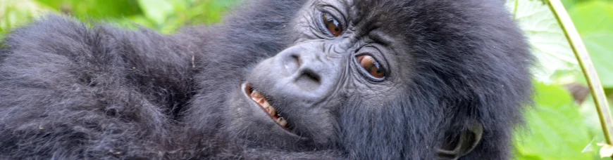 Касты и варны