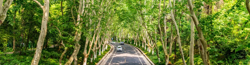 Глиняная армия китайского императора 