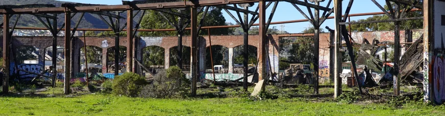 Открытие Мачу-Пикчу