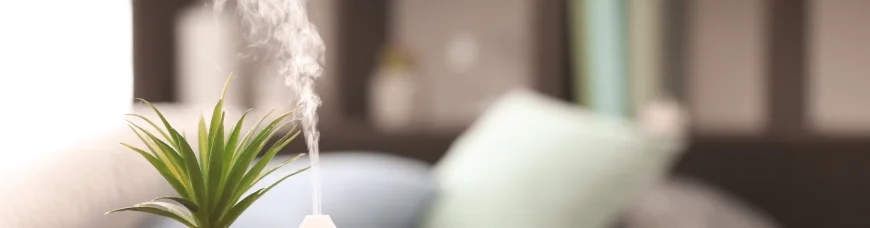 Красота в ароматерапии 