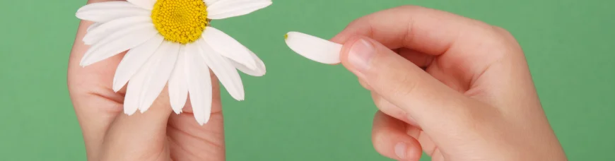 Гадание на ромашке