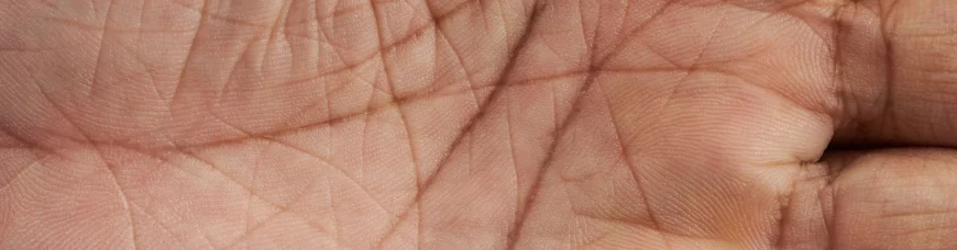 Гороскоп на ладони: главные линии