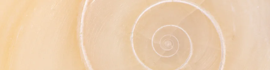 Символизм и значение нуля