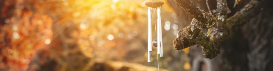 Талисманы фэн-шуй на каждый день