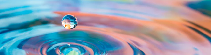 Фэн-шуй растения (цветы). Энергетика домашних растений  