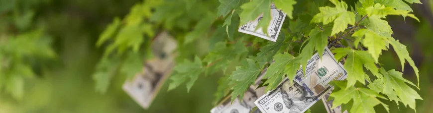 Фэн-шуй на каждый день