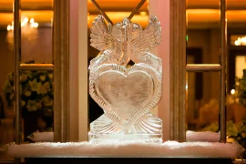 Кошка в доме