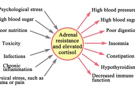 Принципы счастливой жизни