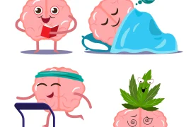 Секрет творческого потенциала левши