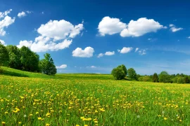 Один в поле не воин