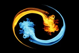 Цели воплощения