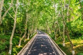 Глиняная армия китайского императора 