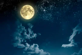 Классификация наших снов