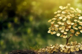 Цветы и фэн-шуй